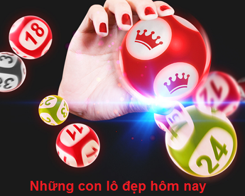 những con lô đẹp hôm nay